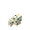 30px Turtle Egg4