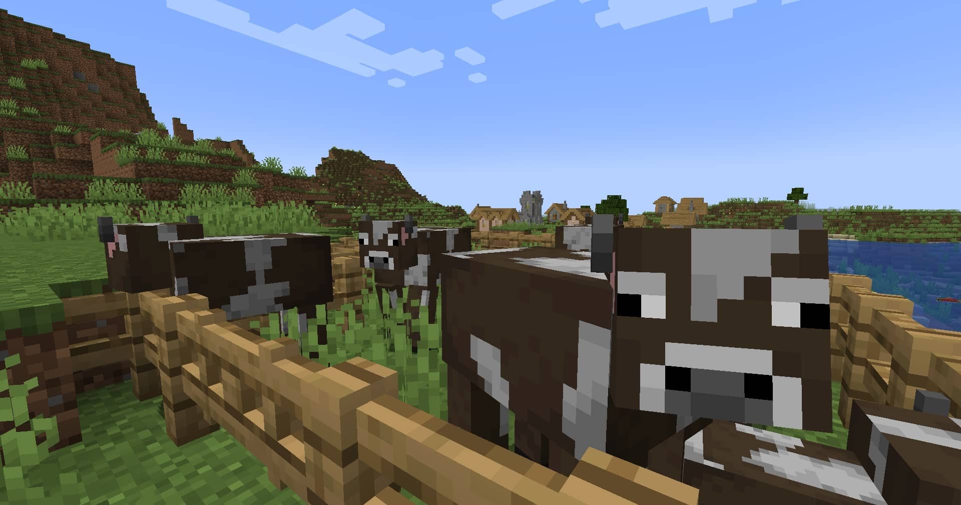 Chăn nuôi bò trong Minecraft