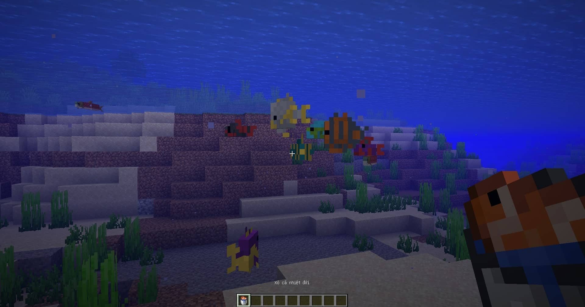 Cách bắt cá nhiệt đới bằng xô nước trong Minecraft
