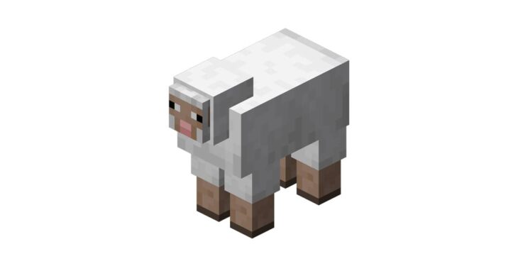 Cừu (Sheep)