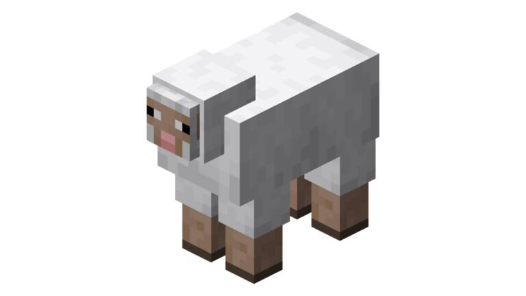 Cừu (Sheep)