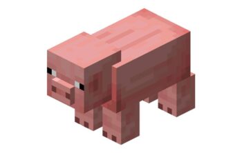 Heo (Pig)