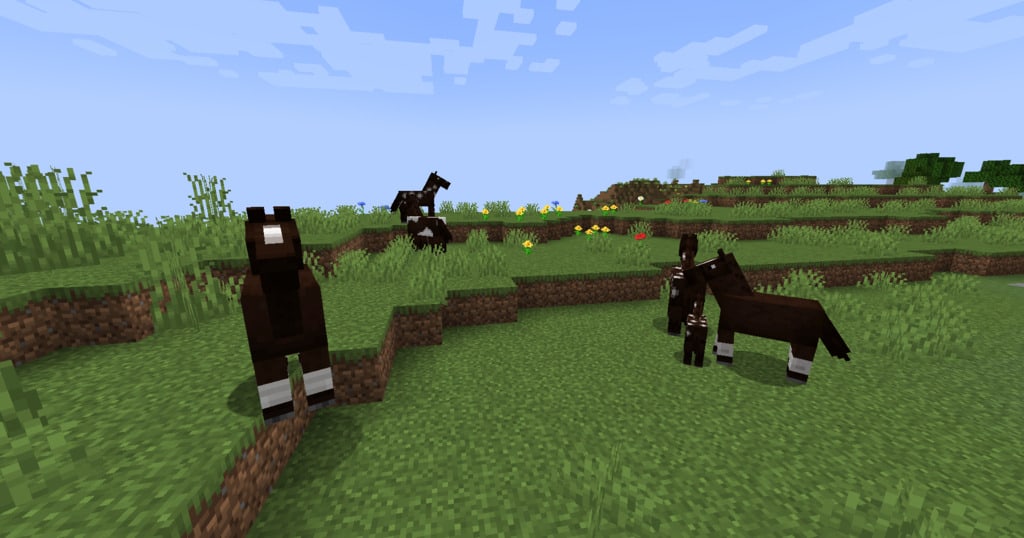 Đàn ngựa xuất hiện tại đồng bằng cỏ