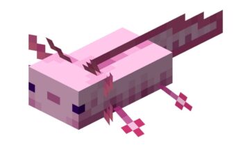 Kỳ nhông (Axolotl)