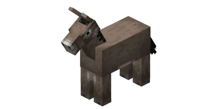 Lừa (Donkey)