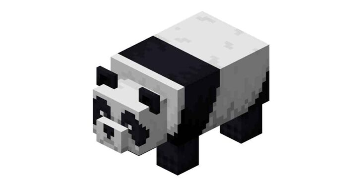 Gấu trúc (Panda)