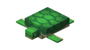 rua trong minecraft