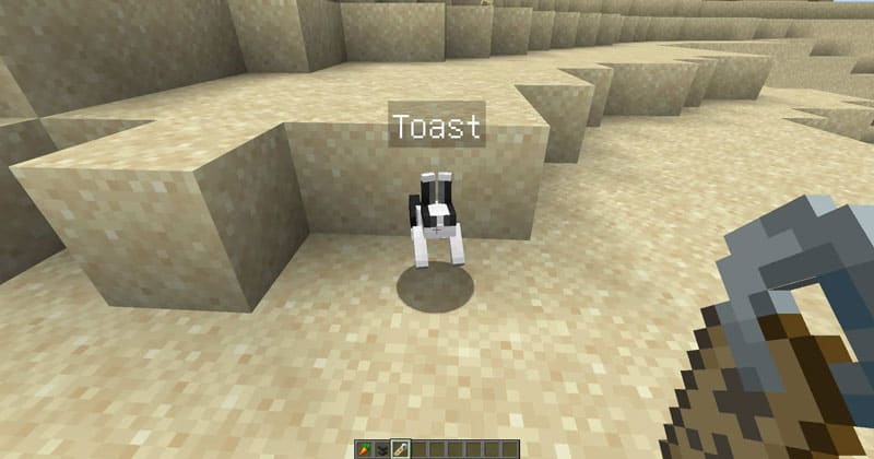 Thỏ Toast