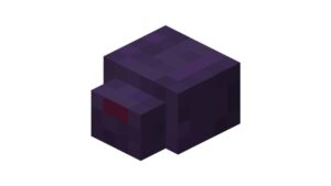 ran ender trong minecraft