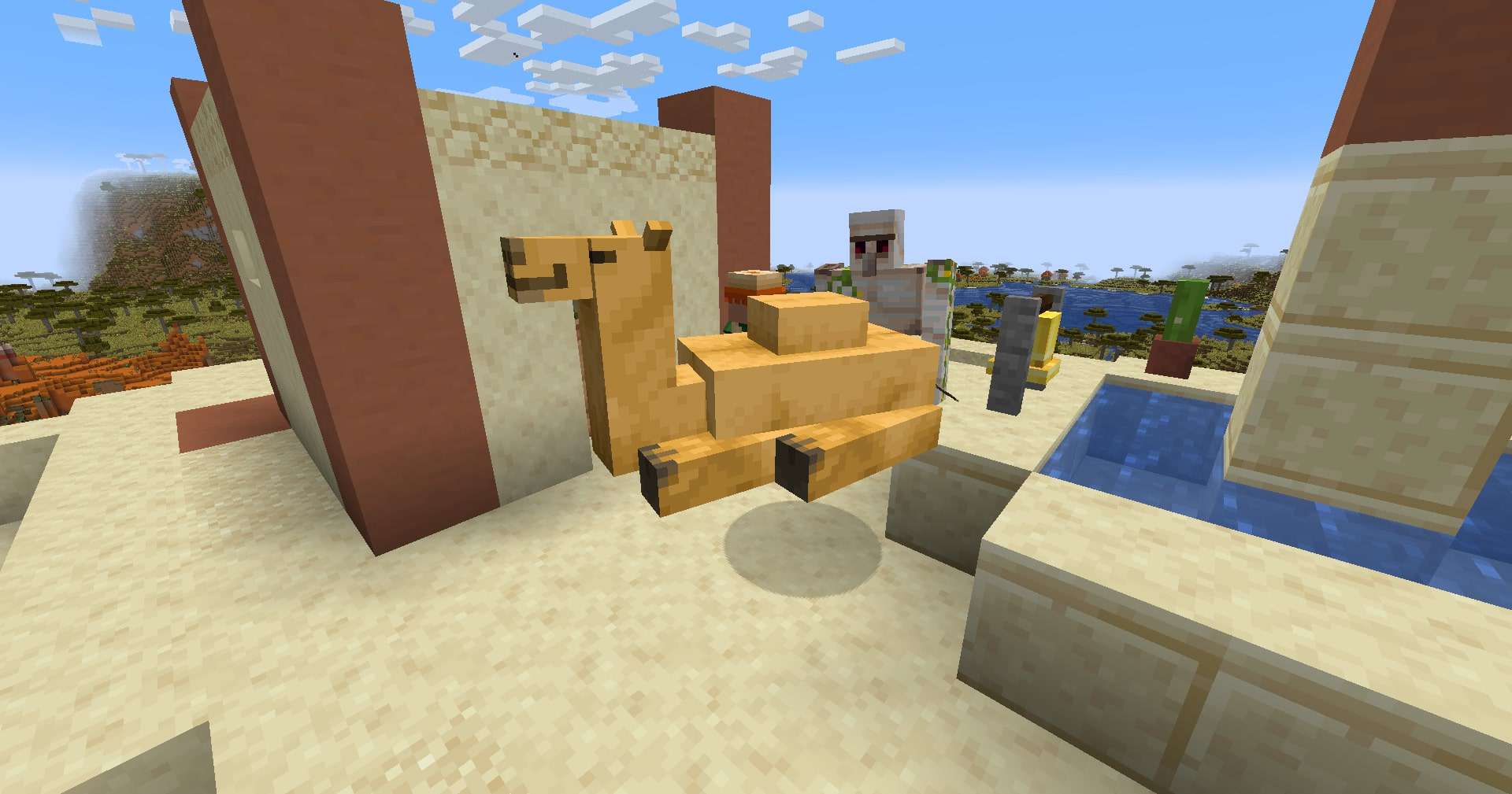 Lạc đà xuất hiện ở làng sa mạc